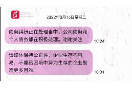 嘉鱼如何避免债务纠纷？专业追讨公司教您应对之策